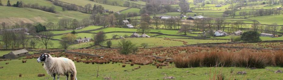Dentdale Friends of the Settle-Carlisle Line |