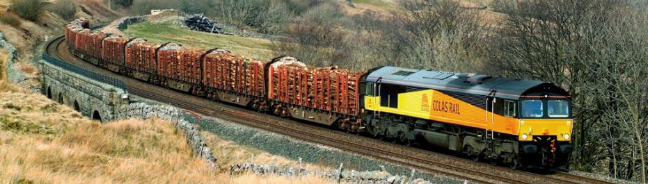 Timber train