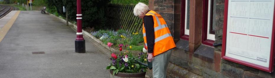 Volunteer gardener
