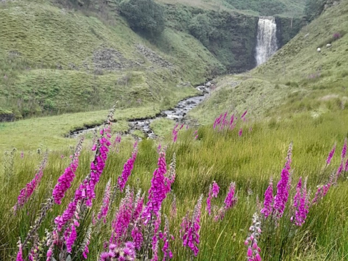 Hell Gill Force