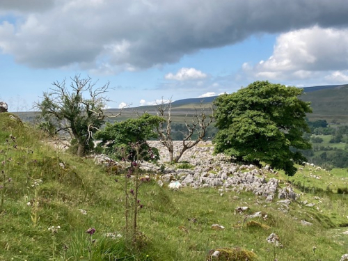 Ingleborough Quarry