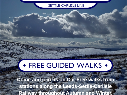 Guided walks