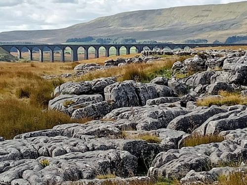 Shanty town & viaduct