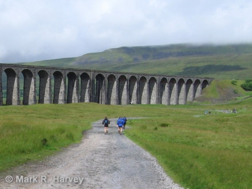 FoSCL walkers approaching Ribblehead Viaduct. Image courtesy of Mark R. Harvey.jpg