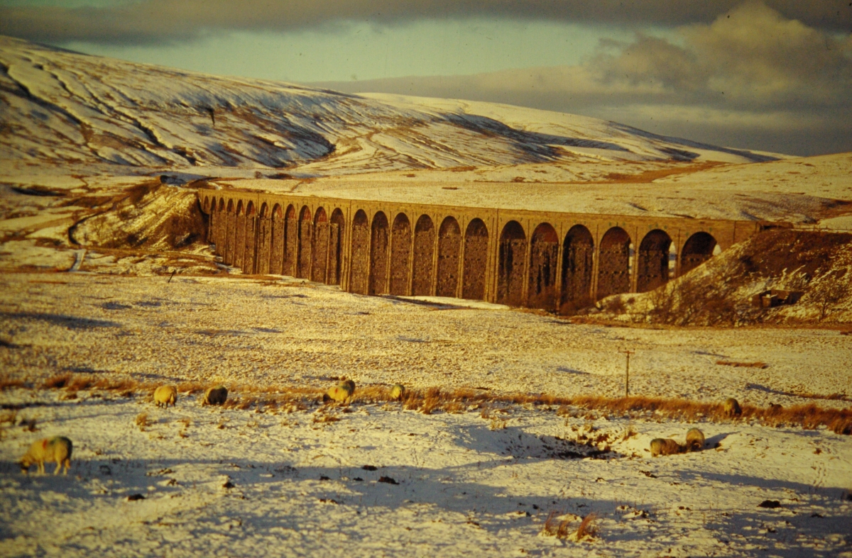 Ribblehead Viaduct (Burrows)